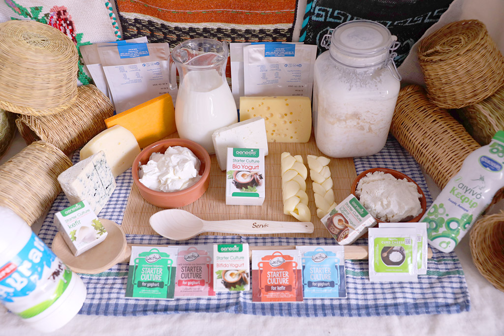 πρωτοσέλιδο - Θερμόφιλα Οξυγαλακτικά Βακτήρια – Ποιά να επιλέξω?