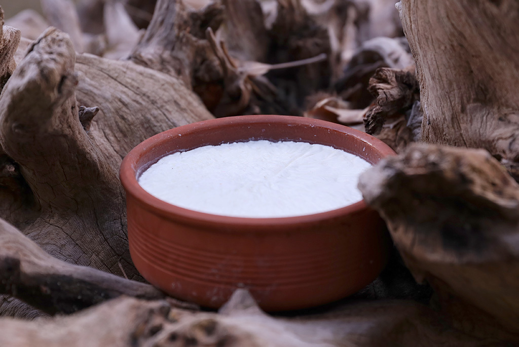πρωτοσέλιδο - Δύο αρχαίοι πιστοί φίλοι του ανθρώπου