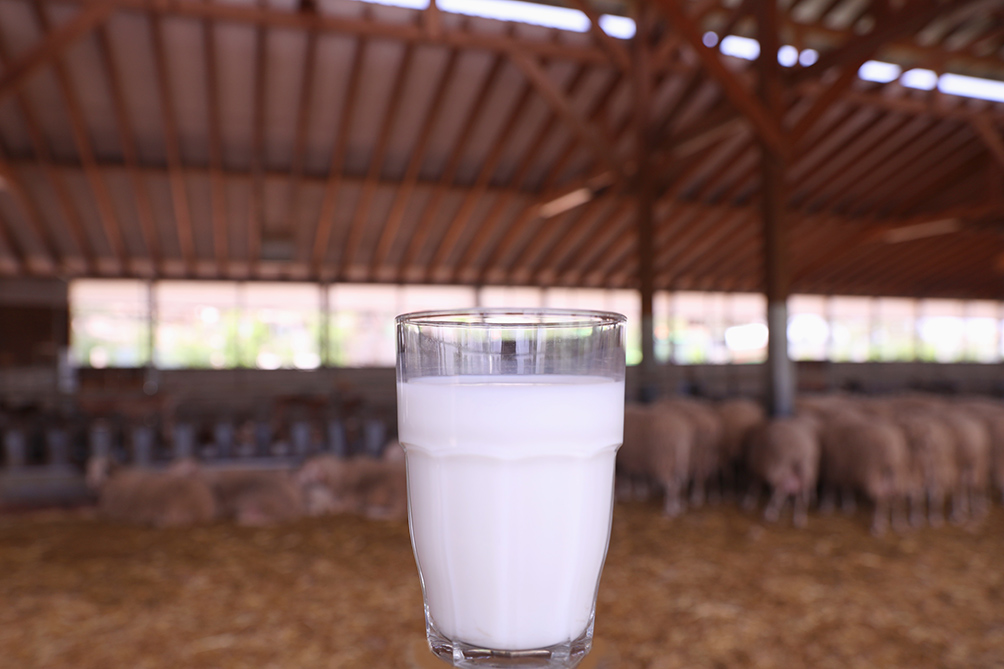 πρωτοσέλιδο - Πώς θα καταλάβω εάν παστεριώθηκε το γάλα μου