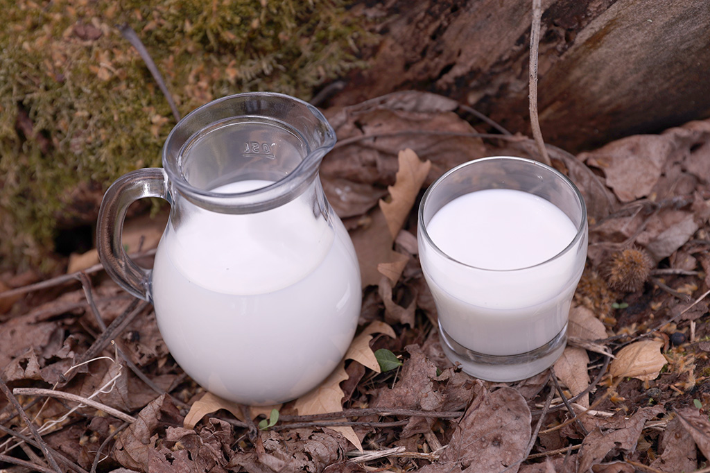 πρωτοσέλιδο - Μάθε ποιές είναι οι ευεργετικές επιδράσεις των πρωτεϊνών γάλακτος