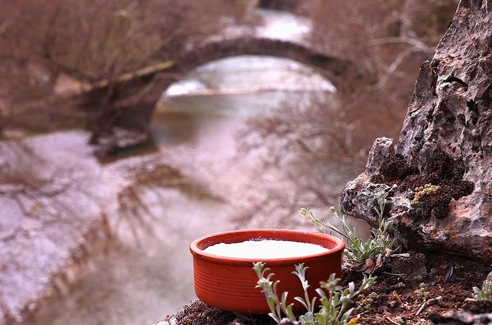 ΠΡΩΤΟΣΕΛΙΔΟ - Προβιοτικά – Εισαγωγή στην μακροζωΐα