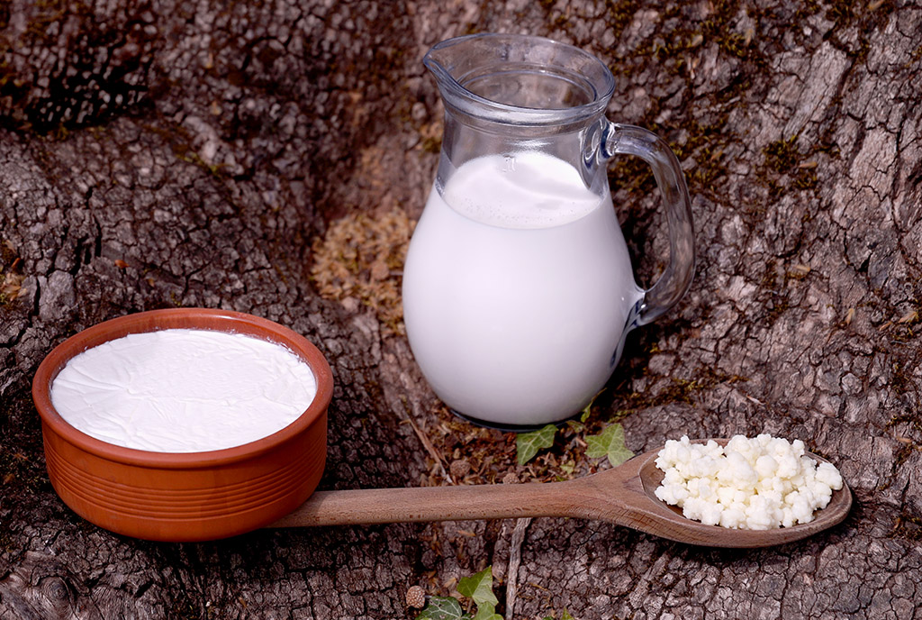 ΠΡΩΤΟΣΕΛΙΔΟ - Γιαούρτι vs Κεφίρ