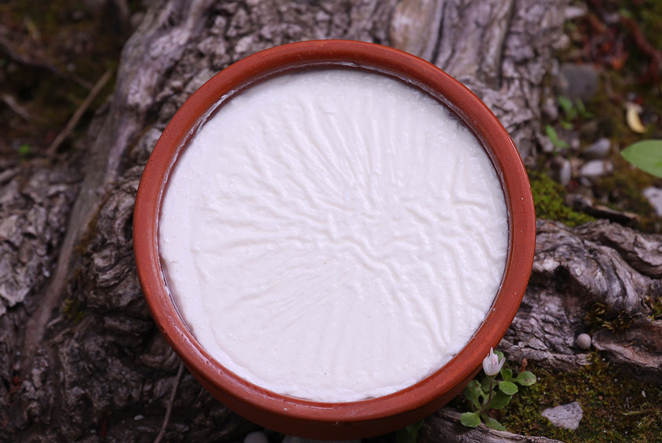 πρωτοσέλιδο- 9 κρίσιμα σημεία για να τελειοποιήσετε το γιαούρτι