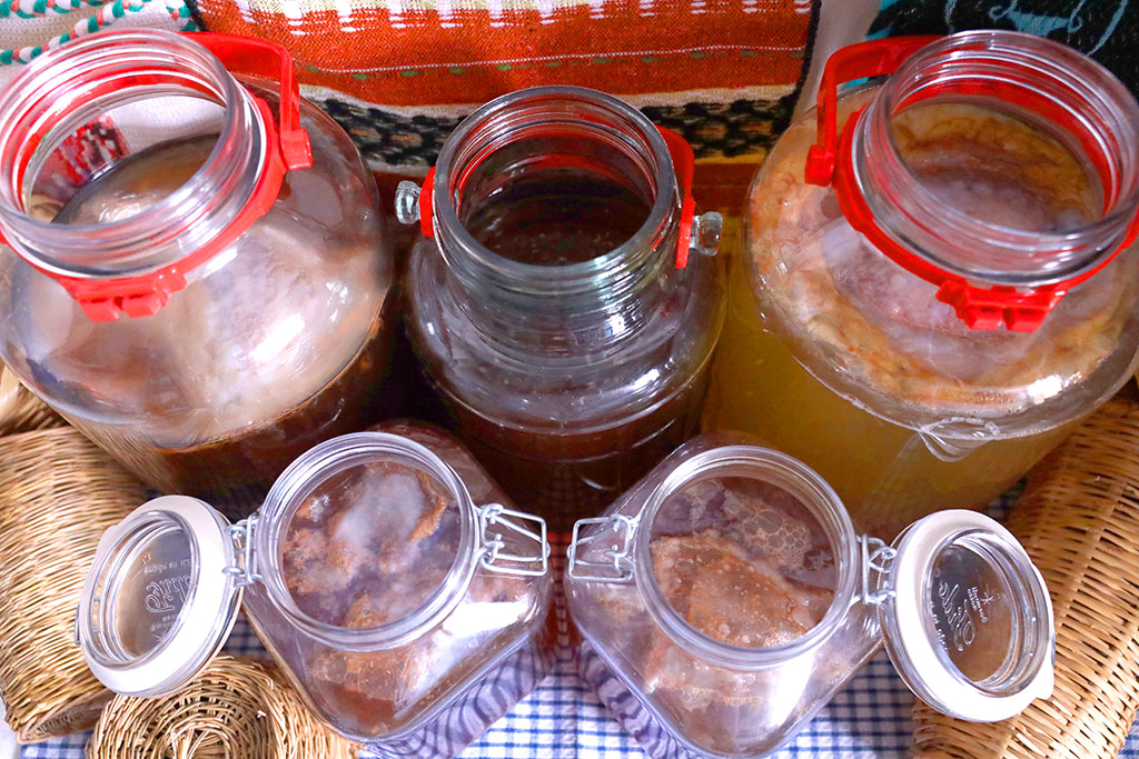 πρωτοσέλιδο - Flavor στο τσάι Κομπούτσα – Κομπούχα (Kombucha) – Τί θα πρέπει να ξέρω?