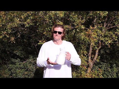 πρωτοσέλιδο - Λακτάση και Δυσανεξία στην Λακτόζη – Όλα όσα θα πρέπει να γνωρίζετε