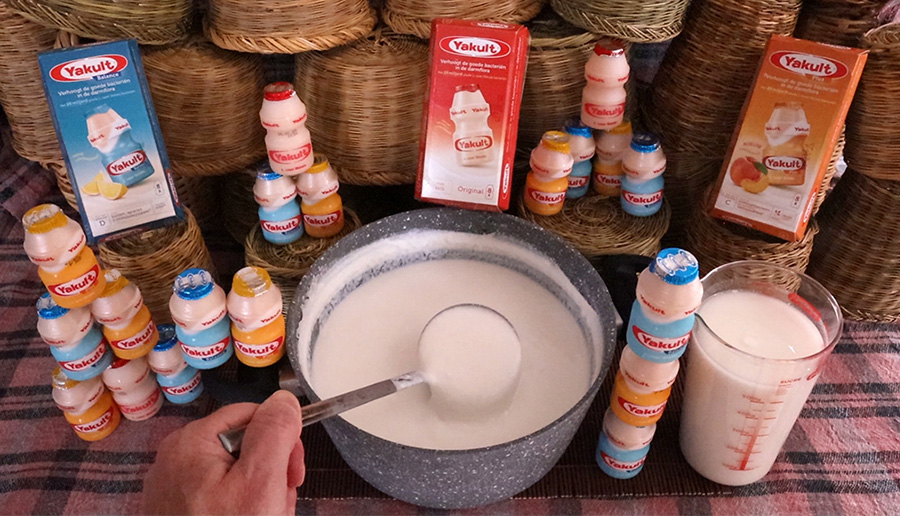 ΠΡΩΤΟΣΕΛΙΔΟ - Φτιάχνω το προβιοτικό ζυμωμένο γάλα Yakult χρησιμοποιώντας ως Μαγιά μία μικρή ποσότητα από Yakult του εμπορίου
