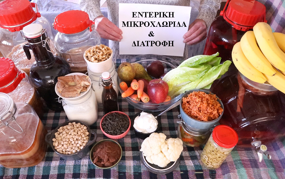 ΠΡΩΤΟΣΕΛΙΔΟ-Ποιά είναι η επίδραση της διατροφής στην Εντερική Μικροχλωρίδα? Τί θα πρέπει να ζητήσουμε να μάς πεί ένας διατροφολόγος?
