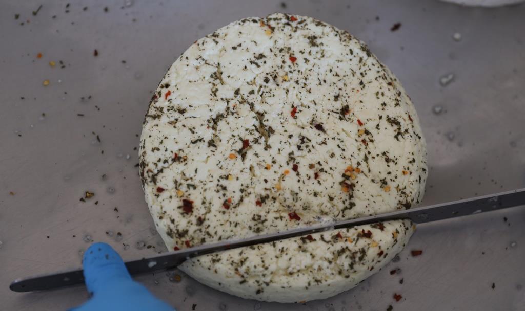 Φτιάχνουμε τυρί Ταλαγάνι με την Γαλακτοκομική Σχολή Ιωαννίνων