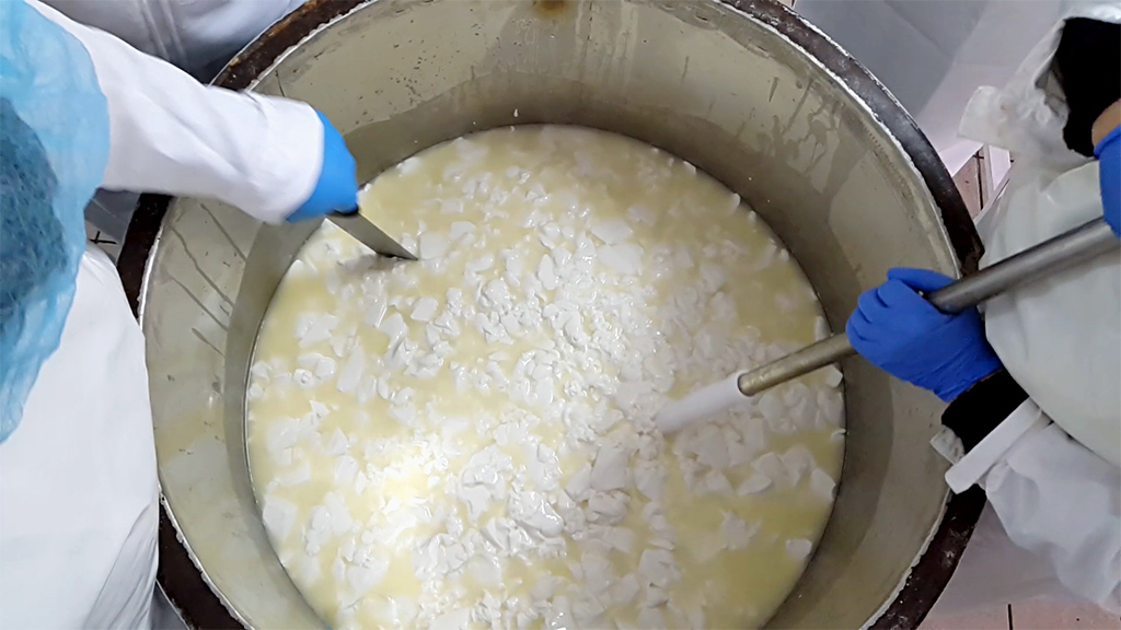 πρωτοσέλιδο - 5 + 2 πράγματα πού πρέπει οπωσδήποτε να γνωρίζω όταν φτιάχνω μαλακό κατσικίσιο τυρί άλμης